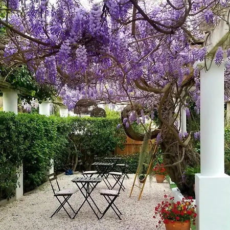Chez Louis מלון 3*